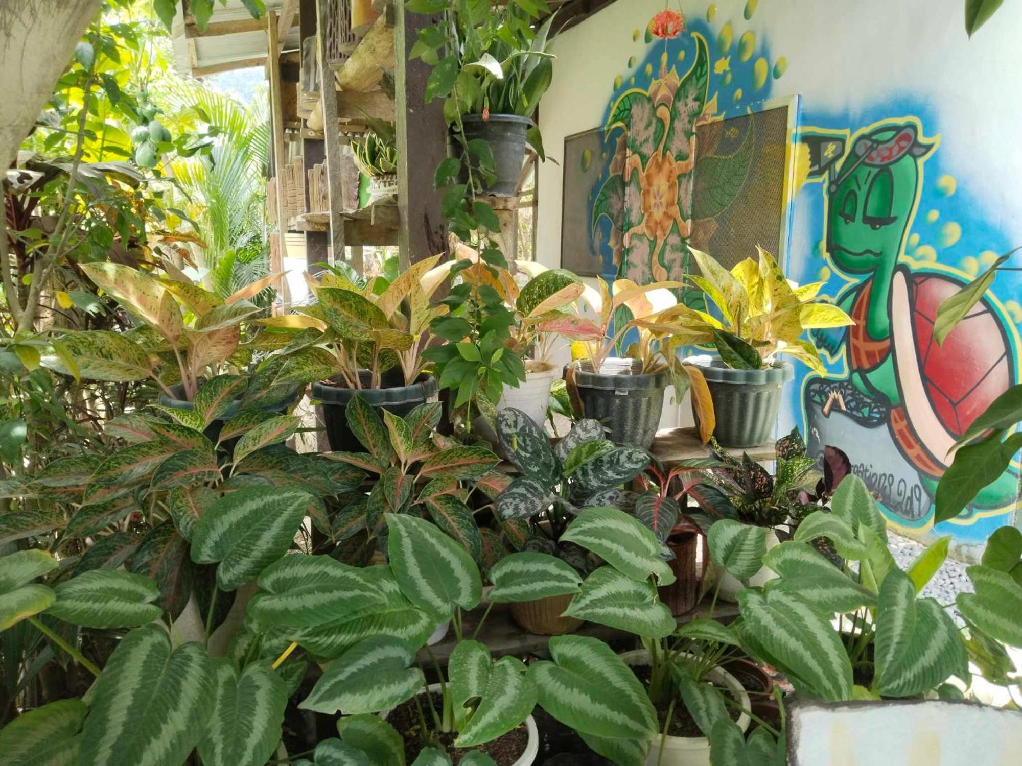 Charity Pension House Сан-Висенте Экстерьер фото